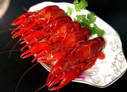 龙虾烹饪培训